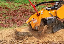 Best Lawn Pest Prevention  in North Bethesda, MD