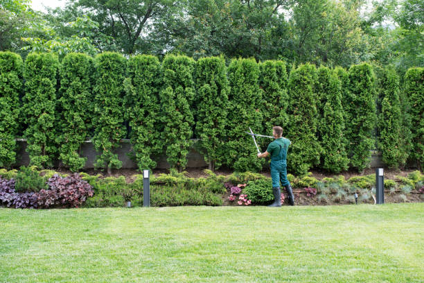 Best Commercial Tree Services  in North Bethesda, MD